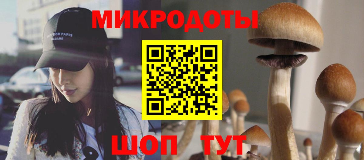 Березники  Псилоцибиновые грибы Psilocybine cubensis  Галлюциногенные грибы мицелий  Вход с VPN 
